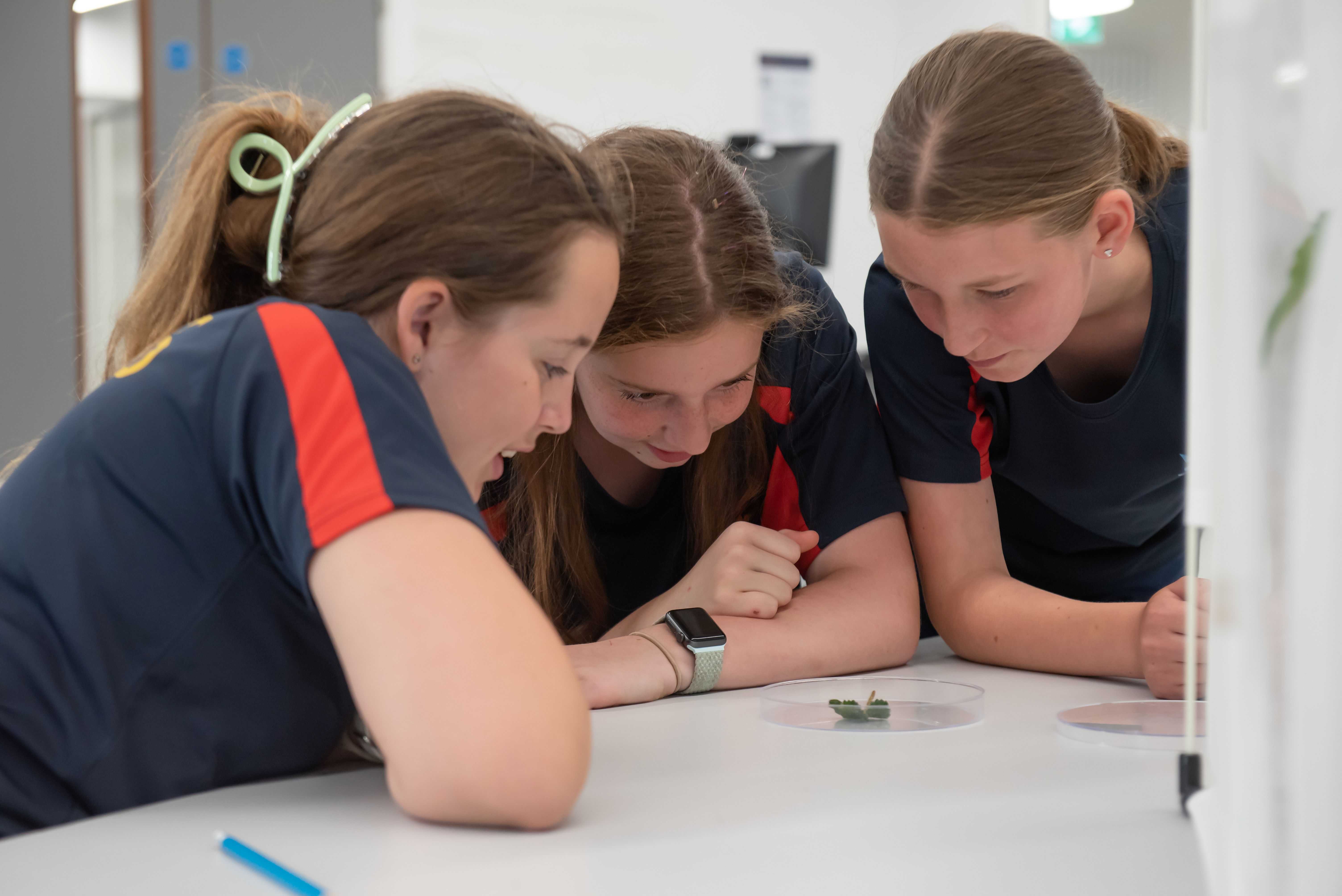 Could a Skills Gap Hinder the Agri-Tech Sector's Growth Potential?