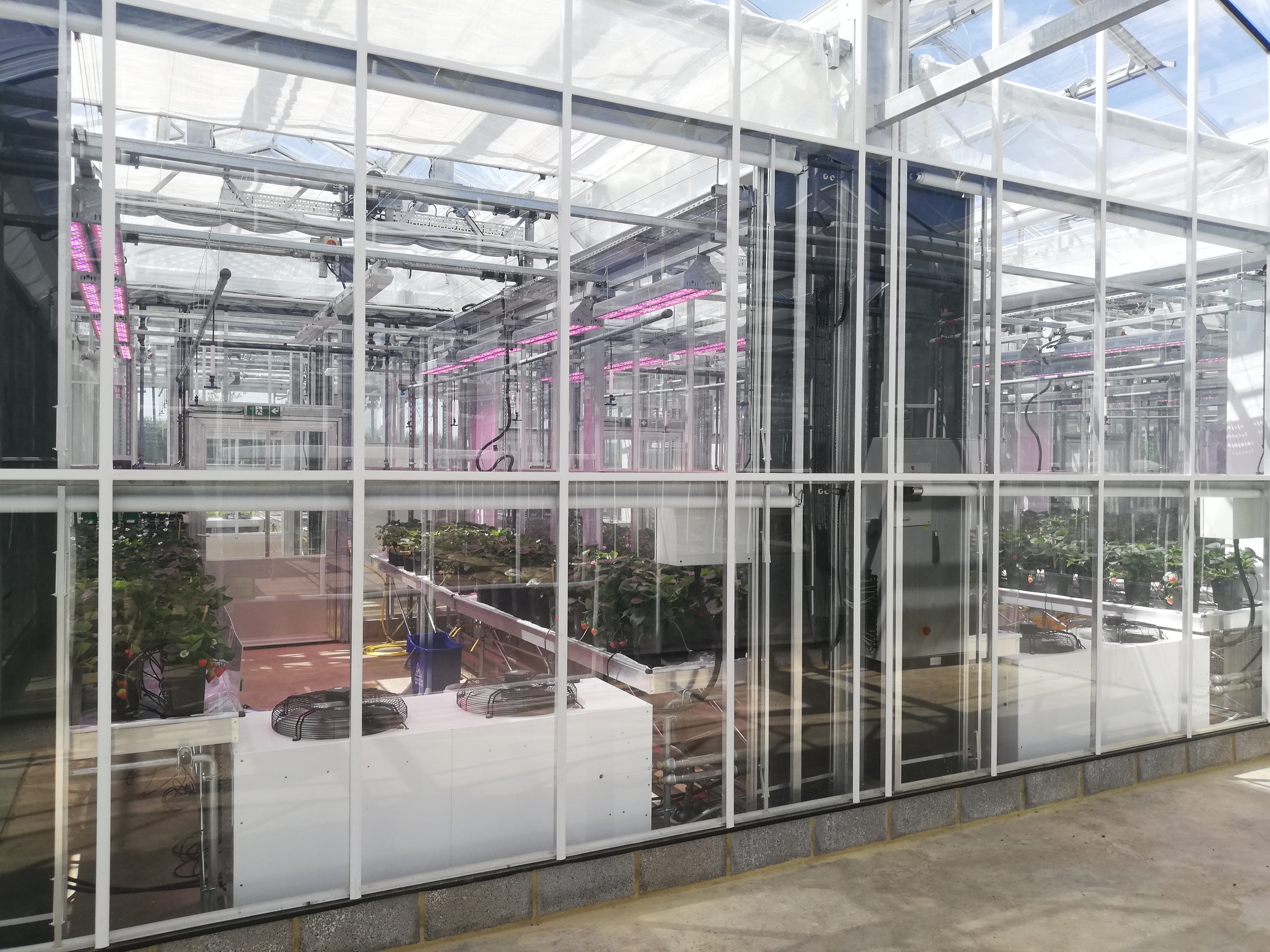GreenTech Hub to innovate sustainable horticulture and viticulture research