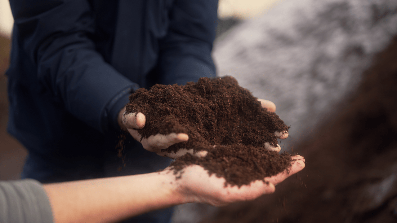 Overland & Niab: Transforming Farm Waste into Sustainable Growing Media