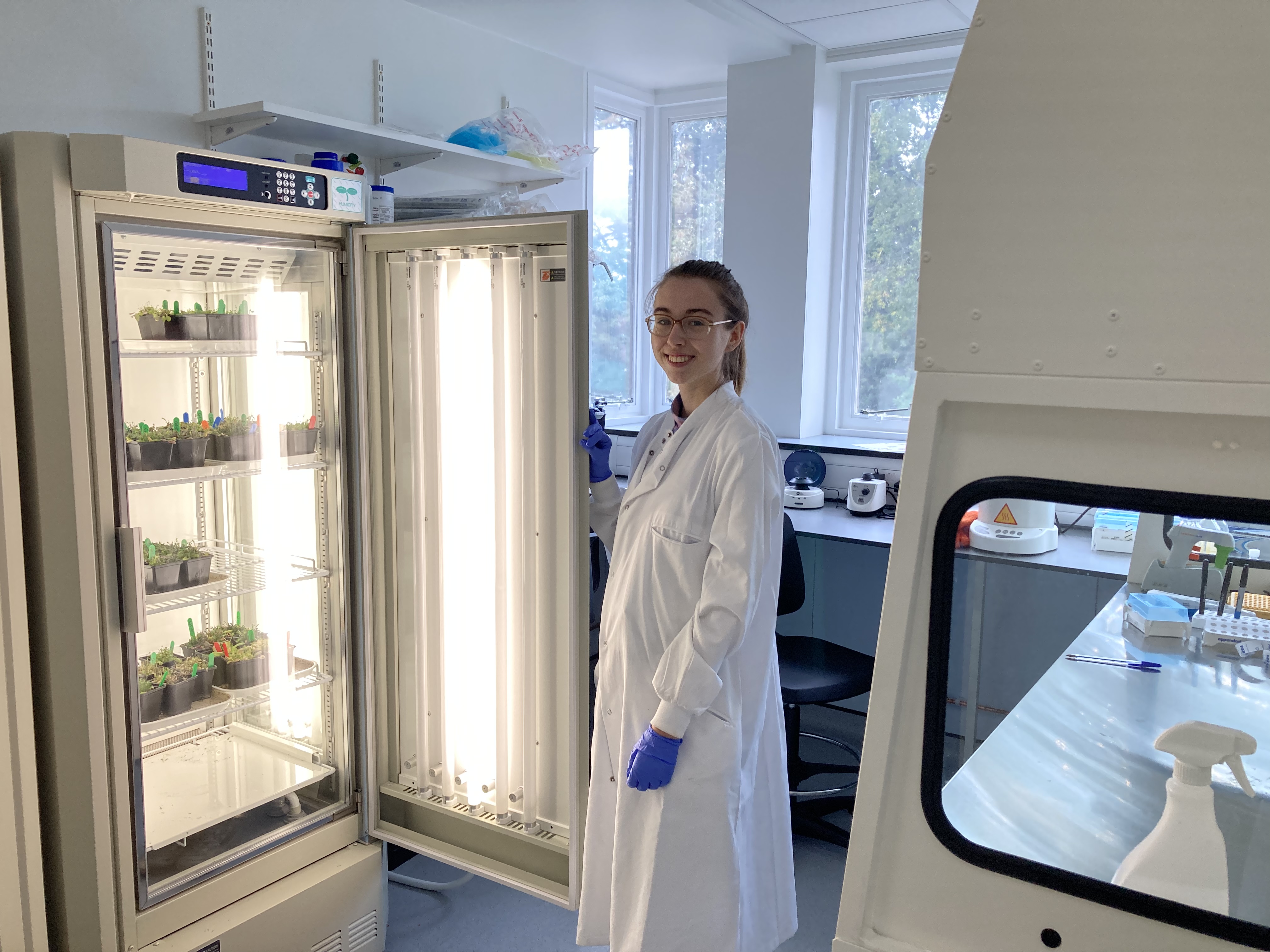 Scientist at University of Kent's Biotechnology Hub opening door to cabinet containing plants in the laboratory