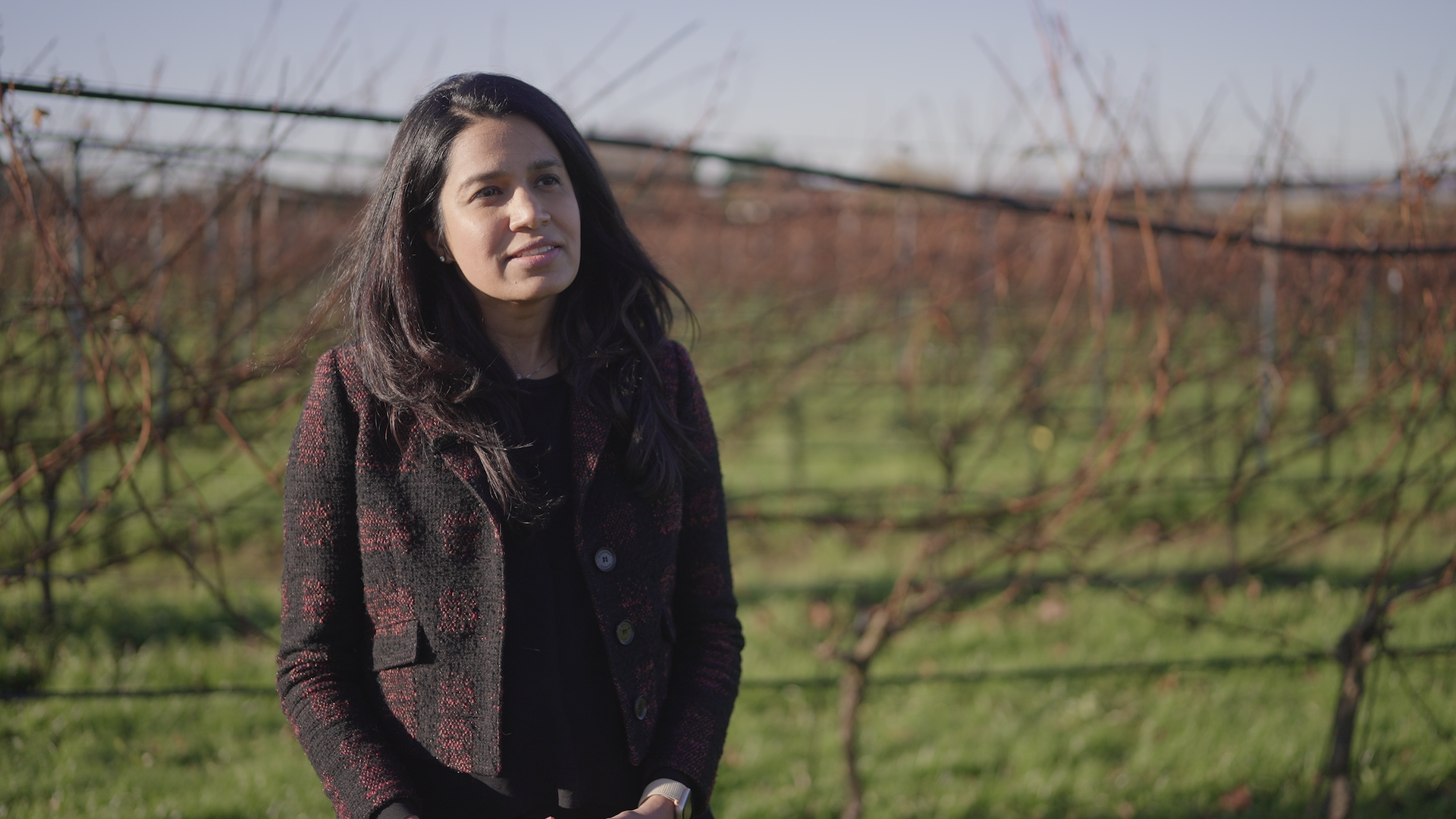 Deep Planet: AI-Powered Disease Detection for UK Vineyards