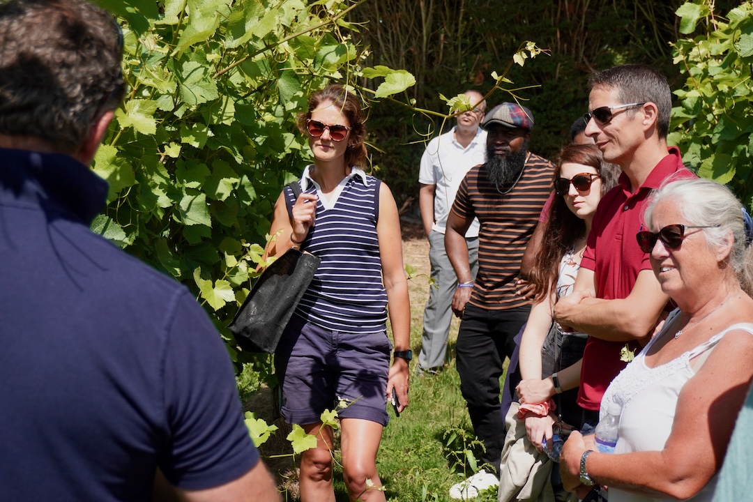 Growing Green: Empowering Kent Businesses Towards Sustainability
