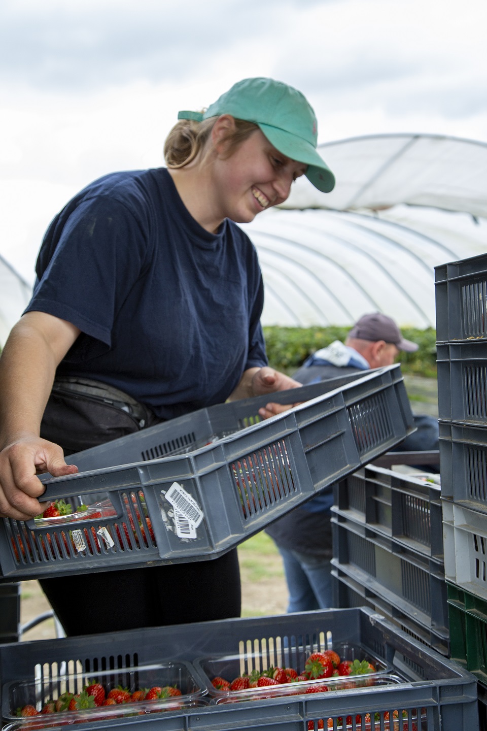 New green careers digital hub for Kent to launch